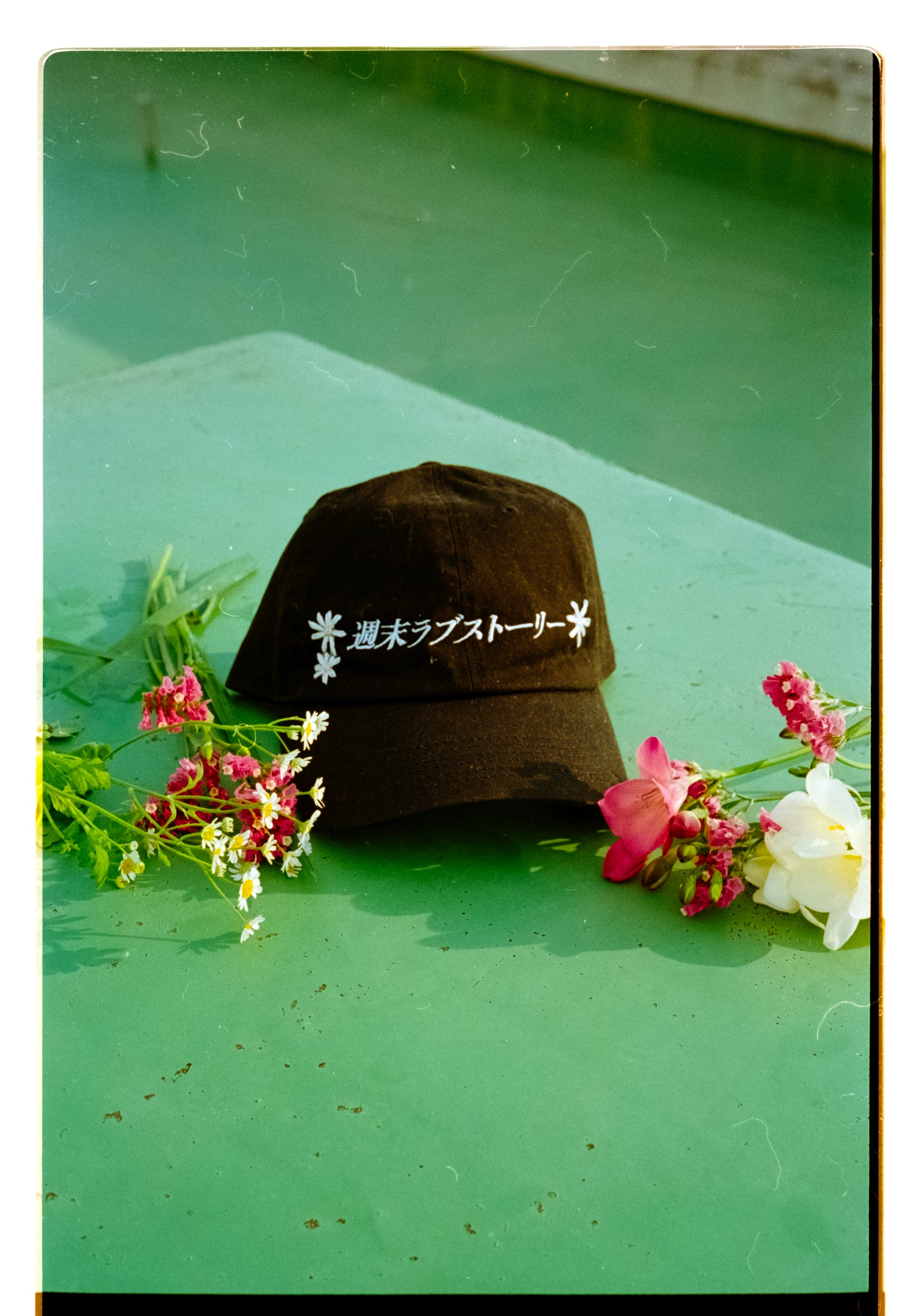 WR™ x Megumi Koiwai Weekend Love Story Caps: FOR HAY FEVERISH LOVERS